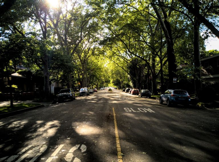 tree-lined street in Sacramento
