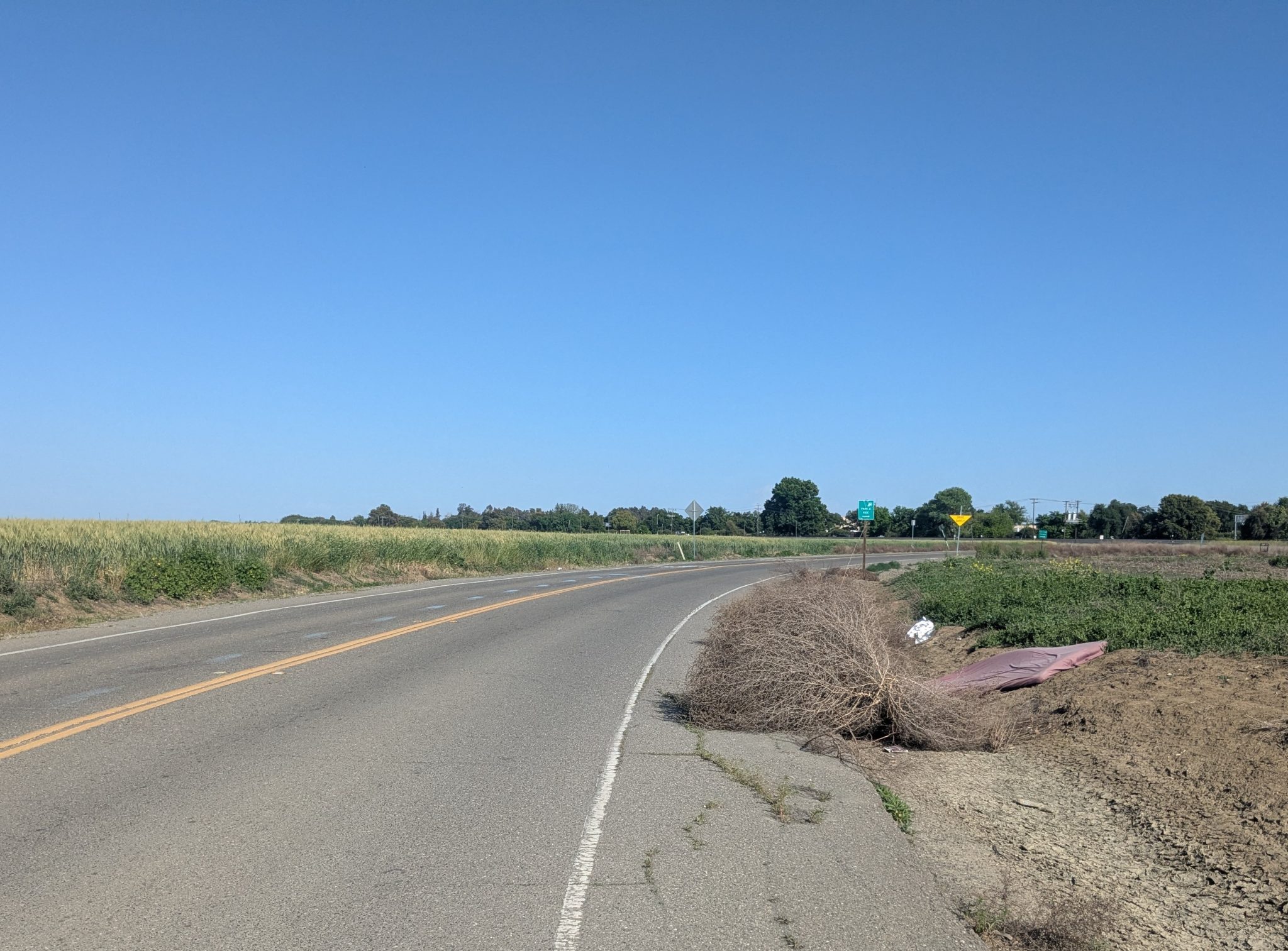 Empty country road with a tumble weed in the shoulder of the road