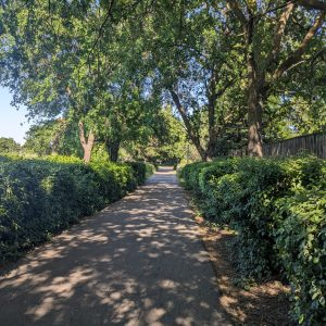 50 Years of Bicycle Policy in Davis, CA