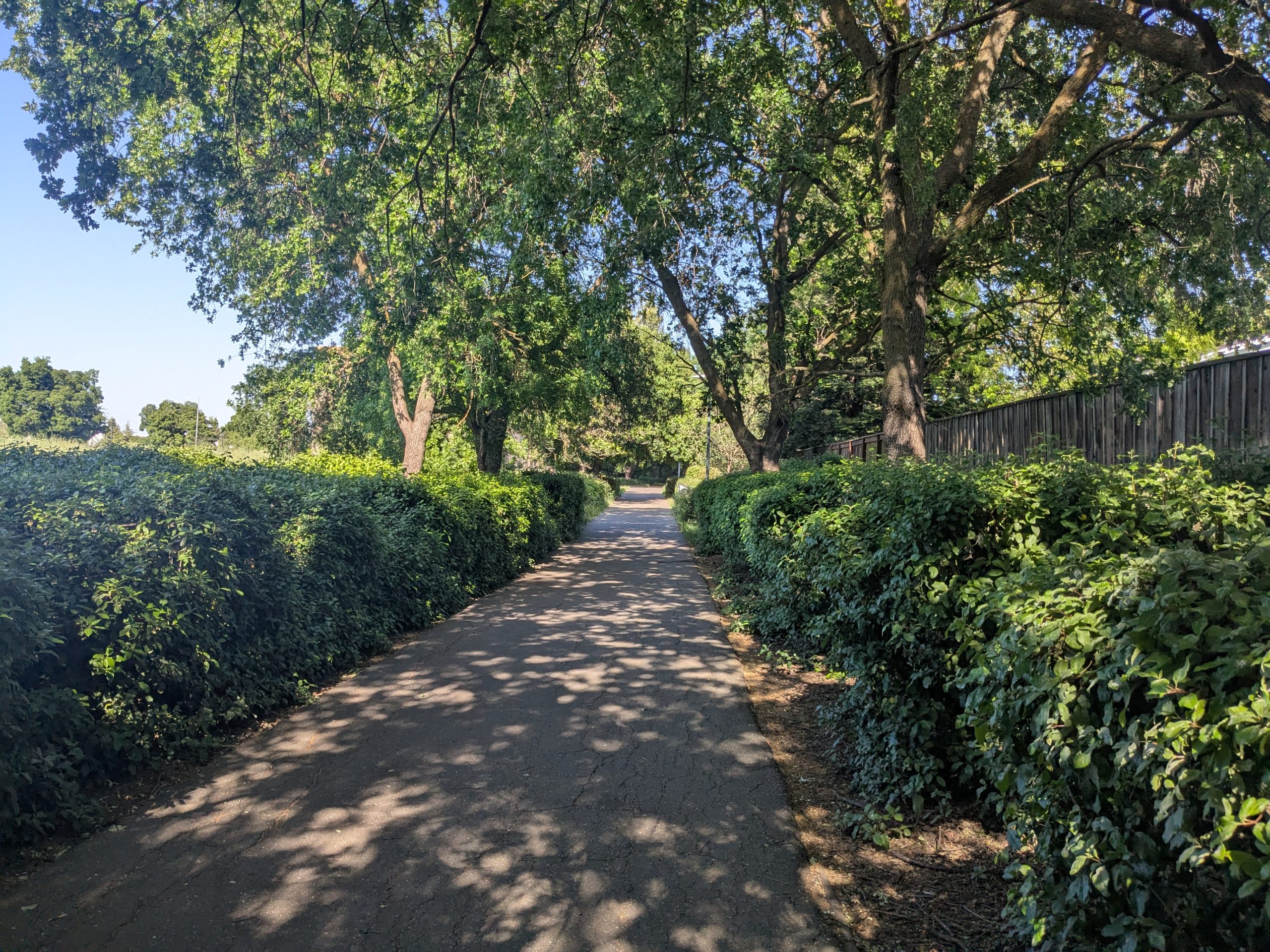 50 Years of Bicycle Policy in Davis, CA