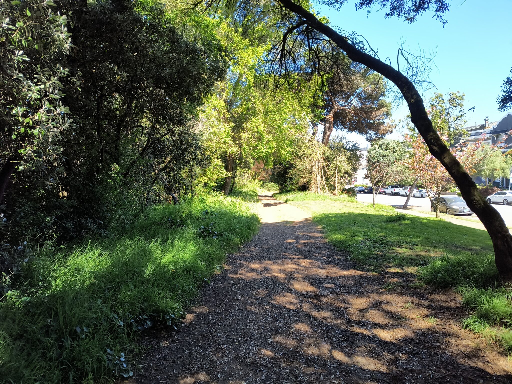 Trail between grass and trees. Houses and cars can be seen in the background.