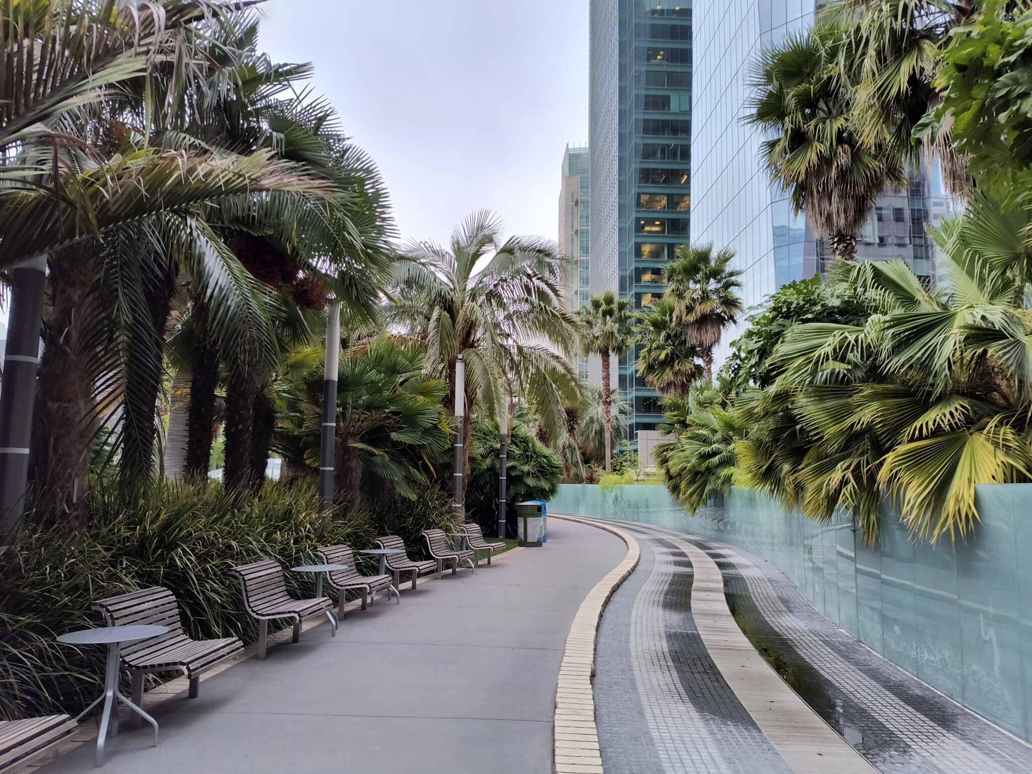 Path Salesforce Park with benches, tables, and tress nearby. Skyscrapers are in the distance