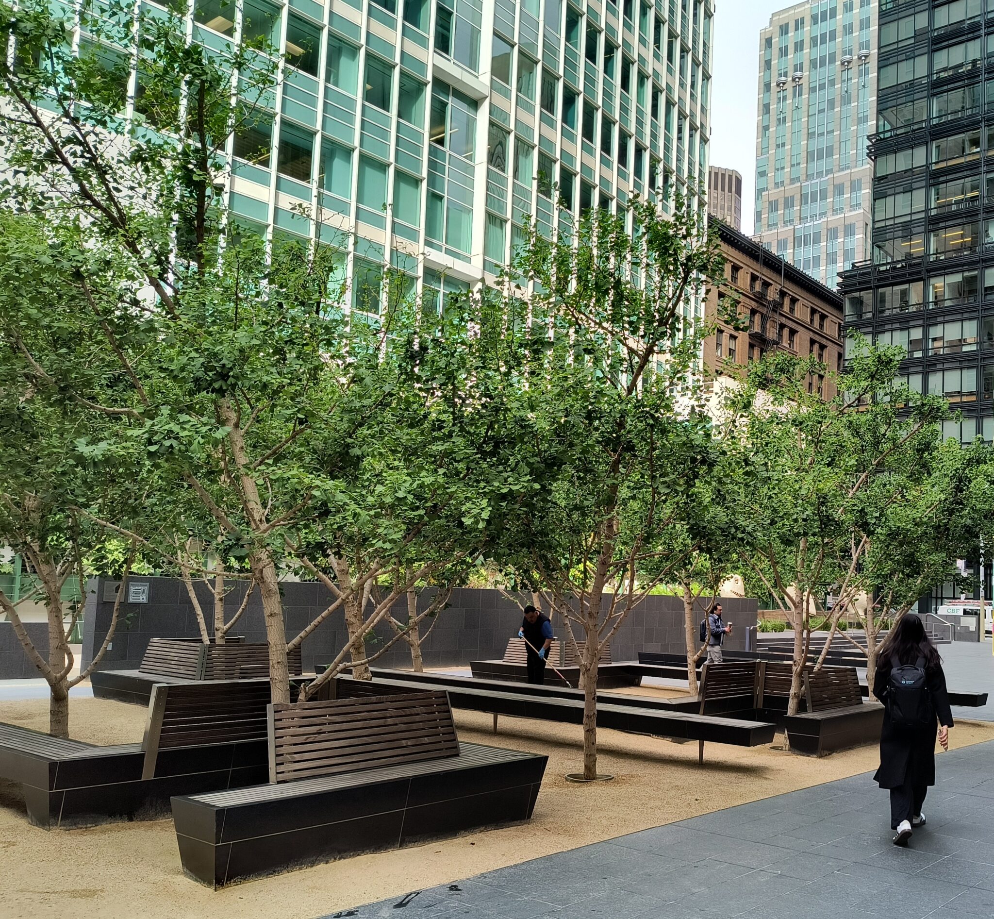 People walking in pocket park with benches and trees between skyscrapers. 